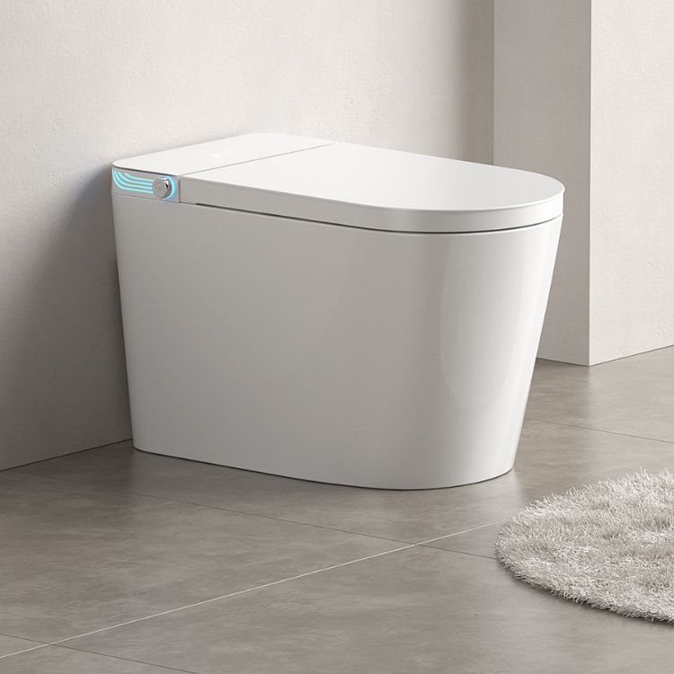 White Elongated Floor Mount Bidet with Warm Air Dryer and Bidet Sprayer Clearhalo 'Bathroom Remodel & Bathroom Fixtures' 'Bidets' 'Home Improvement' 'home_improvement' 'home_improvement_bidets' 'Toilets & Bidets' 1200x1200_c2b31783-2cef-4717-adbe-0d02389c847e