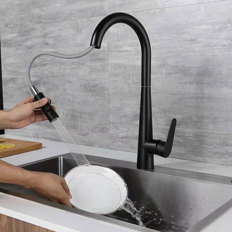Modern Retractable Kitchen Faucet Stainless Steel 1-Handle High Arc Kitchen Faucet Clearhalo 'Home Improvement' 'home_improvement' 'home_improvement_kitchen_faucets' 'Kitchen Faucets' 'Kitchen Remodel & Kitchen Fixtures' 'Kitchen Sinks & Faucet Components' 'kitchen_faucets' 1200x1200_c2f3cfcd-0f18-4c8b-b0ee-0de91d6b0c35