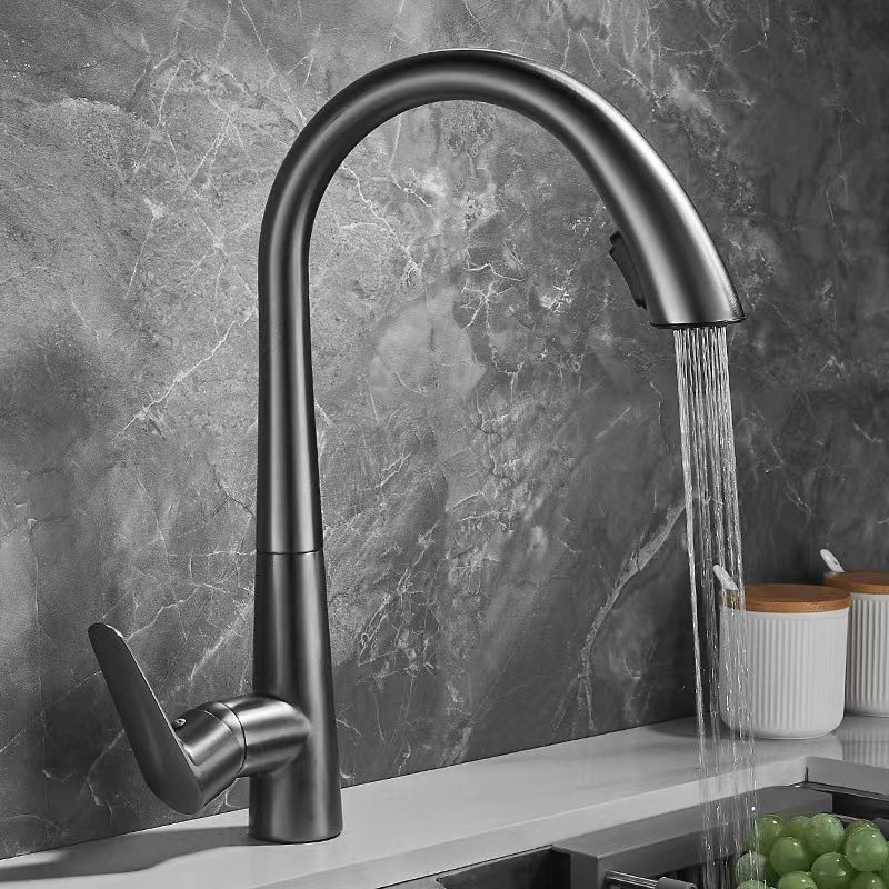 Single Handle Kitchen Faucet Pull Down Faucet with Pull out Sprayer Clearhalo 'Home Improvement' 'home_improvement' 'home_improvement_kitchen_faucets' 'Kitchen Faucets' 'Kitchen Remodel & Kitchen Fixtures' 'Kitchen Sinks & Faucet Components' 'kitchen_faucets' 1200x1200_c325f2b6-6be4-4315-b3ab-97a6797d846c