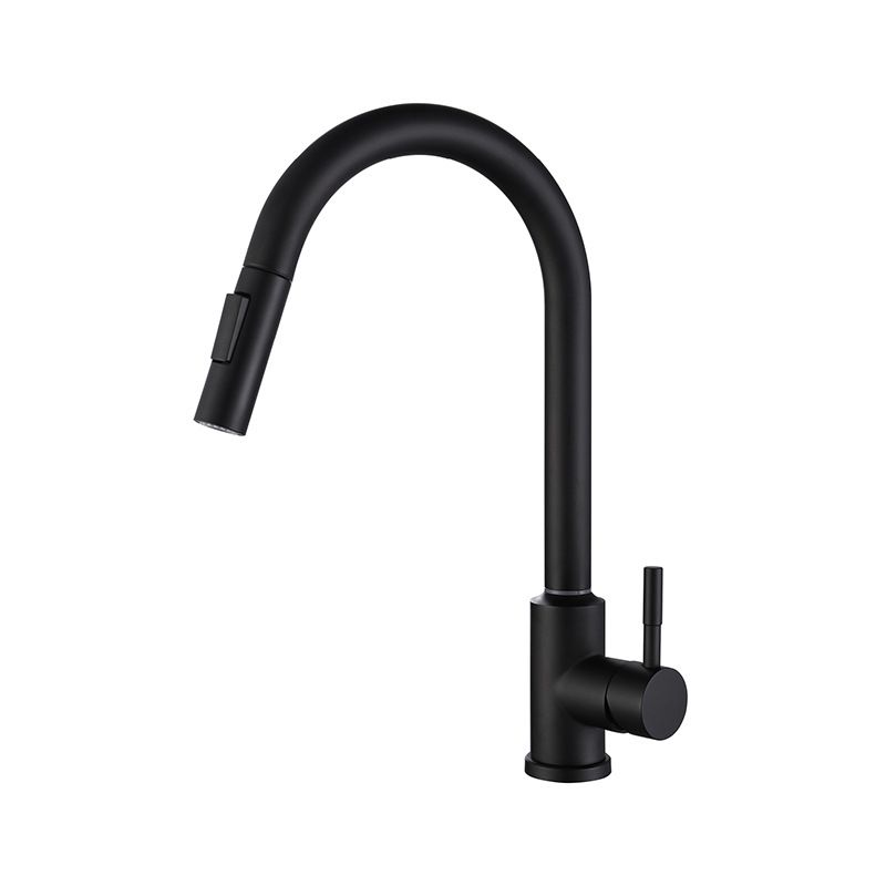 Modern 1-Handle Faucets Stainless Steel Gooseneck with Pull Out Sprayer Faucets Clearhalo 'Home Improvement' 'home_improvement' 'home_improvement_kitchen_faucets' 'Kitchen Faucets' 'Kitchen Remodel & Kitchen Fixtures' 'Kitchen Sinks & Faucet Components' 'kitchen_faucets' 1200x1200_c3442878-9e17-4a7e-9c66-25e7a772eac8