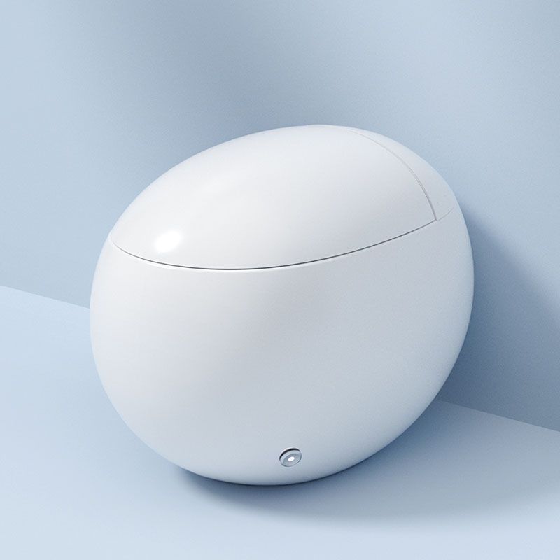 White Egg Shaped Electronic Elongated Toilet Floor Standing Bidet Clearhalo 'Bathroom Remodel & Bathroom Fixtures' 'Bidets' 'Home Improvement' 'home_improvement' 'home_improvement_bidets' 'Toilets & Bidets' 1200x1200_c3a5c97f-169d-4809-a61b-15029f249a83