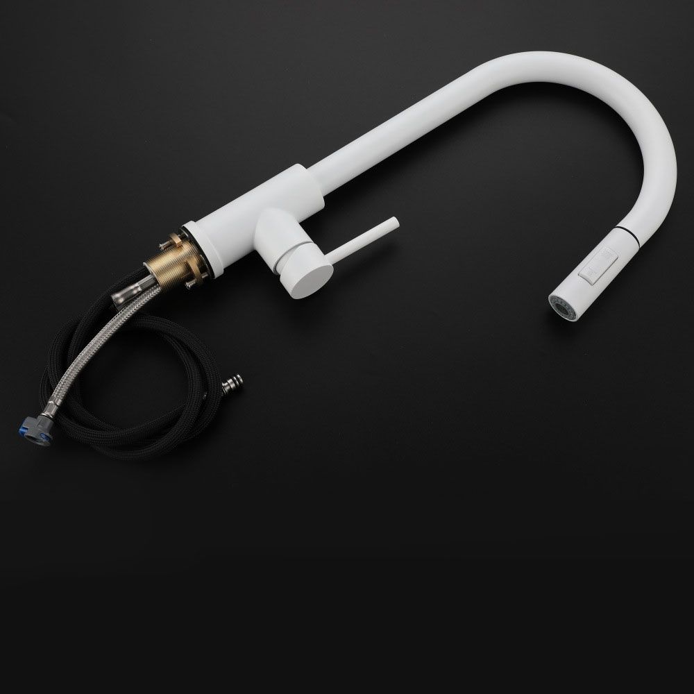 Contemporary Single Handle Kitchen Faucet 1-Hold Faucet with Pull out Sprayer Clearhalo 'Home Improvement' 'home_improvement' 'home_improvement_kitchen_faucets' 'Kitchen Faucets' 'Kitchen Remodel & Kitchen Fixtures' 'Kitchen Sinks & Faucet Components' 'kitchen_faucets' 1200x1200_c43e0bbf-9c08-4549-83df-7bdb59594bf9