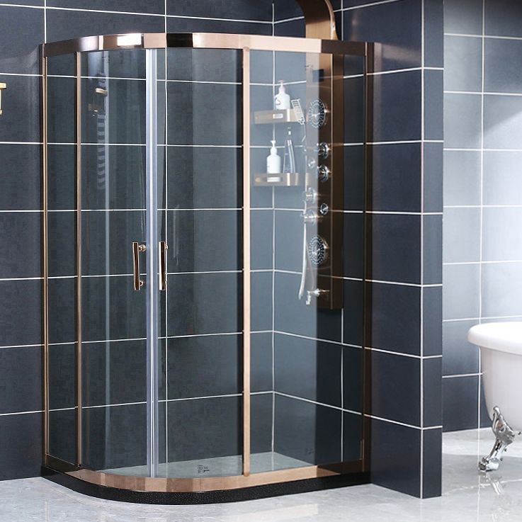 Neo-round Stainless Steel Shower Enclosure with Double Door Handles Clearhalo 'Bathroom Remodel & Bathroom Fixtures' 'Home Improvement' 'home_improvement' 'home_improvement_shower_stalls_enclosures' 'Shower Stalls & Enclosures' 'shower_stalls_enclosures' 'Showers & Bathtubs' 1200x1200_c5aada51-fa7d-4e46-b31f-1c898b2849f4