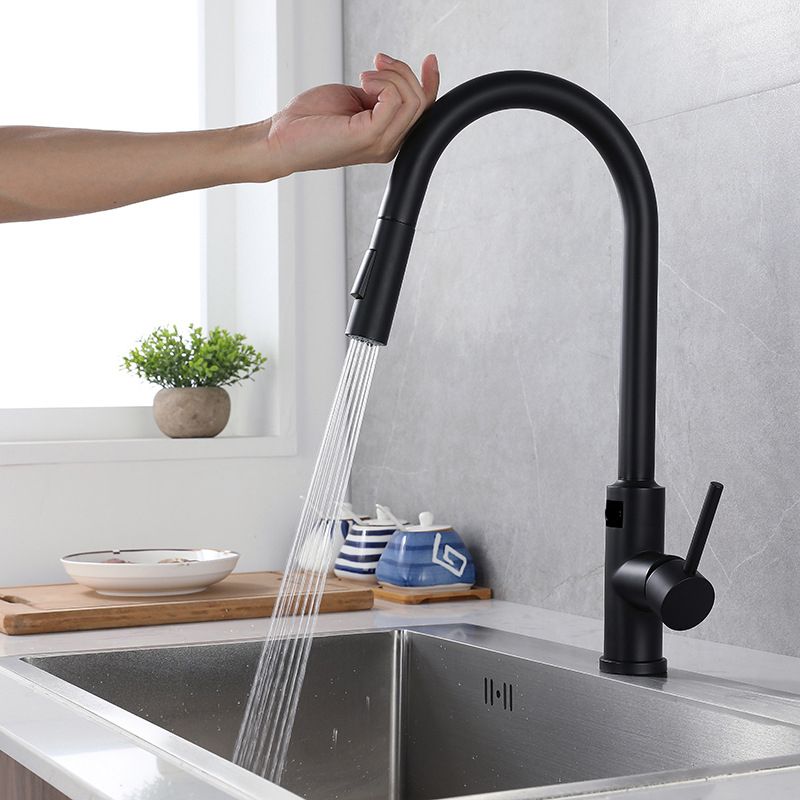 Modern Style Kitchen Faucet Stainless Steel Single Handle Retractable Kitchen Faucet Clearhalo 'Home Improvement' 'home_improvement' 'home_improvement_kitchen_faucets' 'Kitchen Faucets' 'Kitchen Remodel & Kitchen Fixtures' 'Kitchen Sinks & Faucet Components' 'kitchen_faucets' 1200x1200_c6051a33-f7e5-463e-bba9-9d05e141e2ed