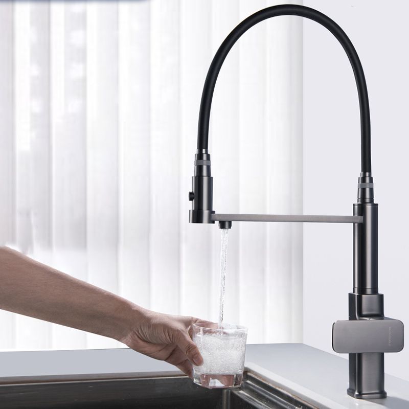 Swivel Spout Kitchen Sink Faucet High Arc with Pull Down Sprayer Clearhalo 'Home Improvement' 'home_improvement' 'home_improvement_kitchen_faucets' 'Kitchen Faucets' 'Kitchen Remodel & Kitchen Fixtures' 'Kitchen Sinks & Faucet Components' 'kitchen_faucets' 1200x1200_c60a257a-9d39-40c1-8502-786518e6dea4