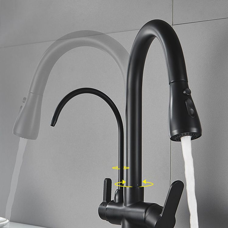 Contemporary Two Handles Kitchen Faucet Double Faucet 1-Hold Faucet Clearhalo 'Home Improvement' 'home_improvement' 'home_improvement_kitchen_faucets' 'Kitchen Faucets' 'Kitchen Remodel & Kitchen Fixtures' 'Kitchen Sinks & Faucet Components' 'kitchen_faucets' 1200x1200_c653d3b5-2a09-4381-894b-959d47c2db43