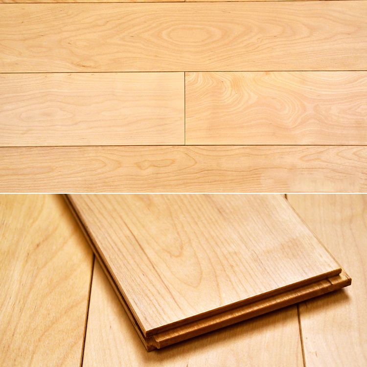 Modern Laminate Flooring Click Lock Stain Resistant Laminate Plank Flooring Clearhalo 'Flooring 'Home Improvement' 'home_improvement' 'home_improvement_laminate_flooring' 'Laminate Flooring' 'laminate_flooring' Walls and Ceiling' 1200x1200_c6c74945-8498-449d-97c6-843633776b00