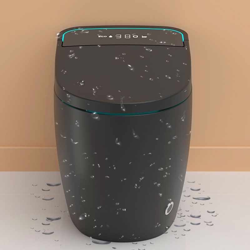 19.68" H Electronic Elongated Toilet Floor Standing Bidet in Black Clearhalo 'Bathroom Remodel & Bathroom Fixtures' 'Bidets' 'Home Improvement' 'home_improvement' 'home_improvement_bidets' 'Toilets & Bidets' 1200x1200_c6c8c915-b301-4d60-a619-c8813c232fcb