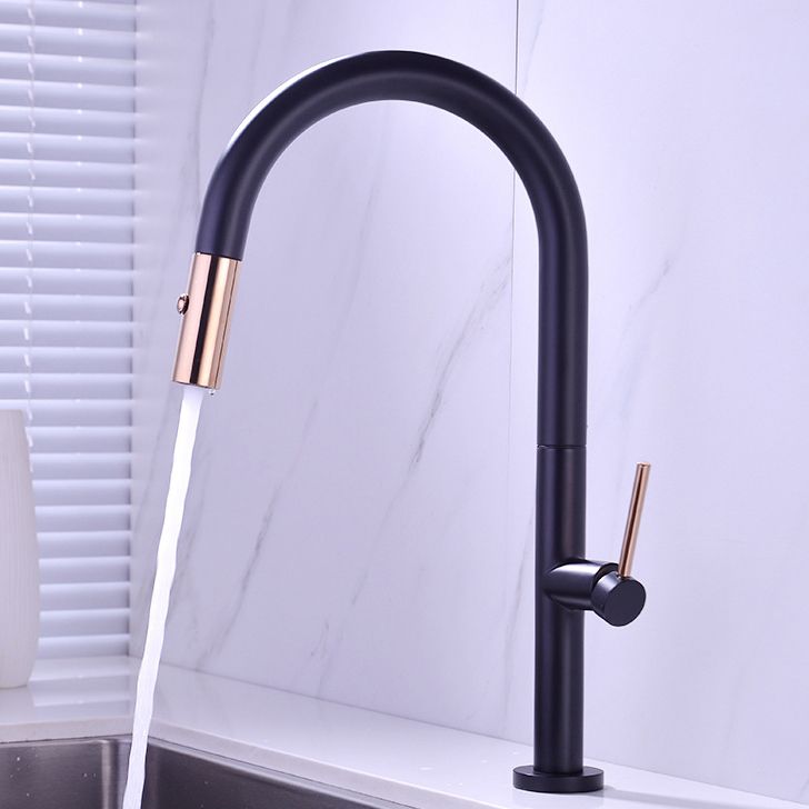 Modern Kitchen Faucet Brass Pull out Faucet with Sprayer and Magnetic Docking Pot Filler Clearhalo 'Home Improvement' 'home_improvement' 'home_improvement_kitchen_faucets' 'Kitchen Faucets' 'Kitchen Remodel & Kitchen Fixtures' 'Kitchen Sinks & Faucet Components' 'kitchen_faucets' 1200x1200_c6cbd91e-1764-4d7e-bb40-58753474dc58