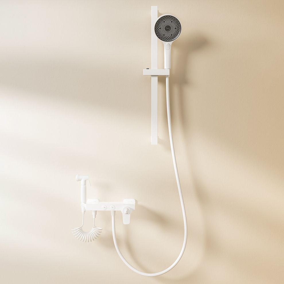 Shower System Massage Jet Round Handheld Shower Head Wall Mounted Shower Trim Clearhalo 'Bathroom Remodel & Bathroom Fixtures' 'Home Improvement' 'home_improvement' 'home_improvement_shower_faucets' 'Shower Faucets & Systems' 'shower_faucets' 'Showers & Bathtubs Plumbing' 'Showers & Bathtubs' 1200x1200_c775342e-1aec-4b65-88ff-2de9aaff306d