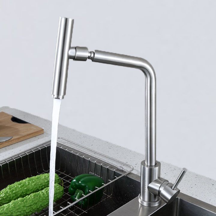 1-Handle Faucets with Water Dispenser Stainless Steel Standard Kitchen Faucets Clearhalo 'Home Improvement' 'home_improvement' 'home_improvement_kitchen_faucets' 'Kitchen Faucets' 'Kitchen Remodel & Kitchen Fixtures' 'Kitchen Sinks & Faucet Components' 'kitchen_faucets' 1200x1200_c85febde-fc36-46b9-aeca-ed93c4bd2356