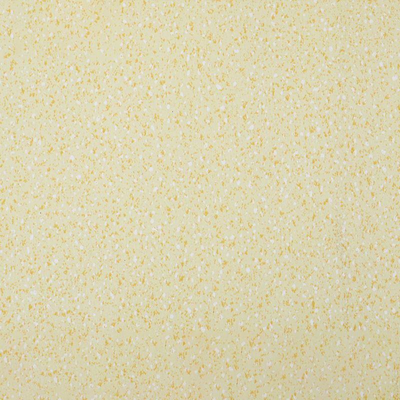 Indoor Flooring Peel and Stick Coiled PVC 200cm Waterproof Vinyl Floor Clearhalo 'Flooring 'Home Improvement' 'home_improvement' 'home_improvement_vinyl_flooring' 'Vinyl Flooring' 'vinyl_flooring' Walls and Ceiling' 1200x1200_c8911556-a5cb-4ae8-9a95-5c8316f665e6