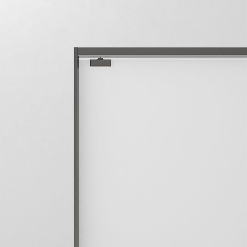 Gray Semi Frameless Narrow Bezel Single Sliding Glass Shower Door Clearhalo 'Bathroom Remodel & Bathroom Fixtures' 'Home Improvement' 'home_improvement' 'home_improvement_shower_tub_doors' 'Shower and Tub Doors' 'shower_tub_doors' 'Showers & Bathtubs' 1200x1200_c8ea573d-0954-4fc5-8a5b-81e0e7788548