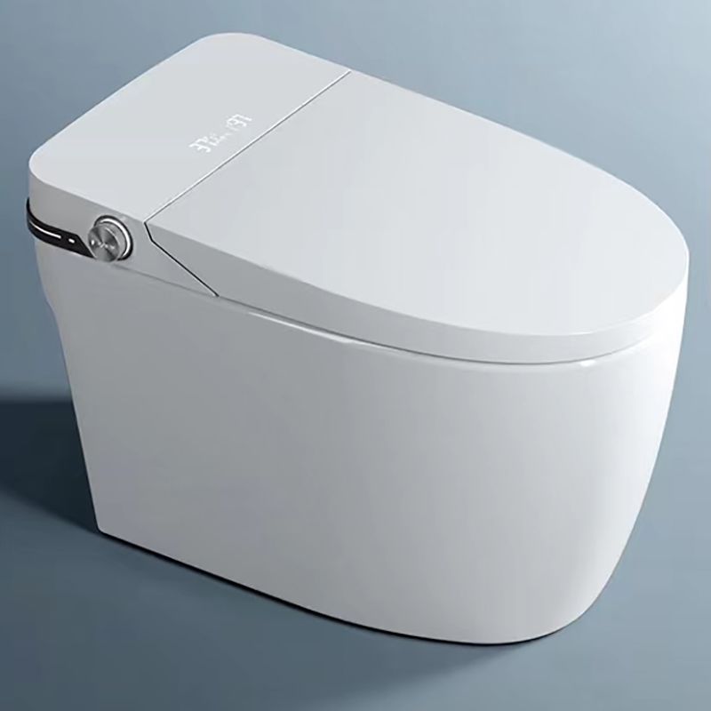 Elongated Floor Standing Bidet in White Smart Bidet with Heated Seat Clearhalo 'Bathroom Remodel & Bathroom Fixtures' 'Bidets' 'Home Improvement' 'home_improvement' 'home_improvement_bidets' 'Toilets & Bidets' 1200x1200_c9435e7b-8b45-4e1f-95ac-86a38d8b546b