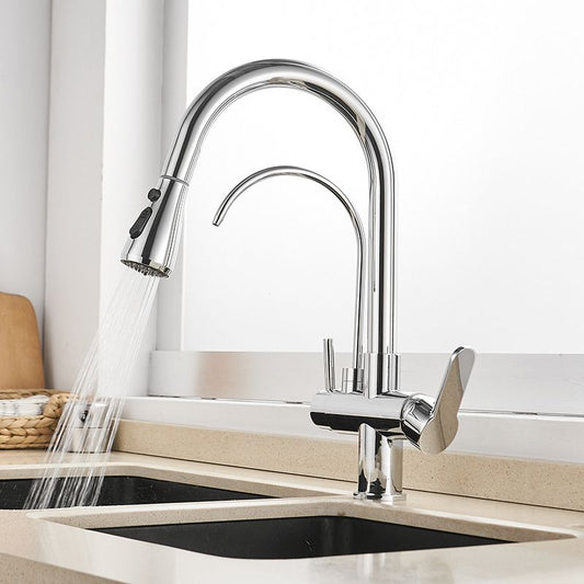 Modern 2-Handle Kitchen Faucet with Sprayer and Water Dispenser Bar Faucet Clearhalo 'Home Improvement' 'home_improvement' 'home_improvement_kitchen_faucets' 'Kitchen Faucets' 'Kitchen Remodel & Kitchen Fixtures' 'Kitchen Sinks & Faucet Components' 'kitchen_faucets' 1200x1200_c97b3981-7867-46dd-80f5-661b79bf8aa5