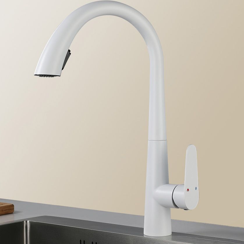 Contemporary High-Arc Kitchen Faucet Swivel Spout with Pull Down Sprayer Clearhalo 'Home Improvement' 'home_improvement' 'home_improvement_kitchen_faucets' 'Kitchen Faucets' 'Kitchen Remodel & Kitchen Fixtures' 'Kitchen Sinks & Faucet Components' 'kitchen_faucets' 1200x1200_ca2516e3-c99d-4d5a-ae29-cf35e83c15a7