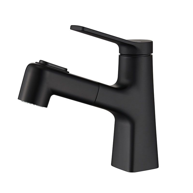 Contemporary Vessel Faucet Metal Single Handle Low Arc Vessel Faucet for Bathroom Clearhalo 'Bathroom Remodel & Bathroom Fixtures' 'Bathroom Sink Faucets' 'Bathroom Sinks & Faucet Components' 'bathroom_sink_faucets' 'Home Improvement' 'home_improvement' 'home_improvement_bathroom_sink_faucets' 1200x1200_ca38cf7f-4e75-4da9-9d91-617f8d533773
