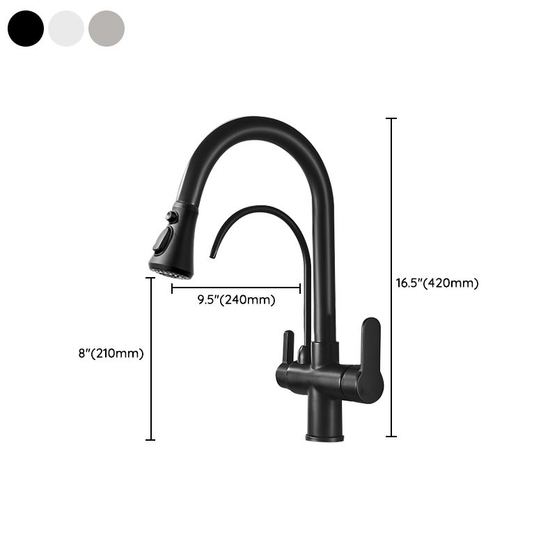 Contemporary Two Handles Kitchen Faucet Double Faucet 1-Hold Faucet Clearhalo 'Home Improvement' 'home_improvement' 'home_improvement_kitchen_faucets' 'Kitchen Faucets' 'Kitchen Remodel & Kitchen Fixtures' 'Kitchen Sinks & Faucet Components' 'kitchen_faucets' 1200x1200_cb073c62-fe7b-4e8e-8b83-73d88e743bc5