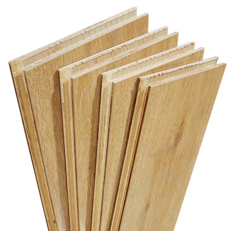 Light Wooden Laminate Plank Flooring Scratch Resistant Laminate Floor Clearhalo 'Flooring 'Home Improvement' 'home_improvement' 'home_improvement_laminate_flooring' 'Laminate Flooring' 'laminate_flooring' Walls and Ceiling' 1200x1200_cb31e4c8-a74e-433f-8319-ff7c34593be5