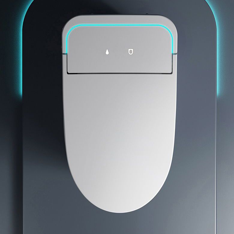 Concealed Tank Modern Toilet Heated Seat One-Piece Flush Toilet with Slow Close Seat Clearhalo 'Bathroom Remodel & Bathroom Fixtures' 'Home Improvement' 'home_improvement' 'home_improvement_toilets' 'Toilets & Bidets' 'Toilets' 1200x1200_cb5430ef-1cf0-4988-97cc-3d80cd9930d2