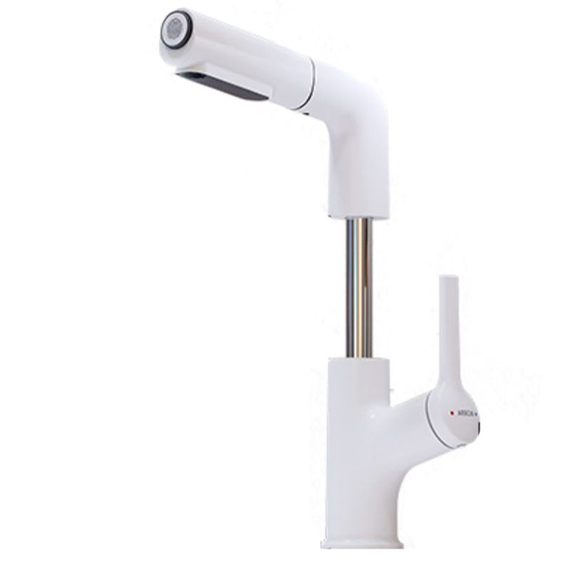 Swivel Spout Bathroom Sink Faucet with Lever Handle Vessel Sink Faucet Clearhalo 'Bathroom Remodel & Bathroom Fixtures' 'Bathroom Sink Faucets' 'Bathroom Sinks & Faucet Components' 'bathroom_sink_faucets' 'Home Improvement' 'home_improvement' 'home_improvement_bathroom_sink_faucets' 1200x1200_cb7efdcb-f35e-403b-bb2c-6014133c00d9