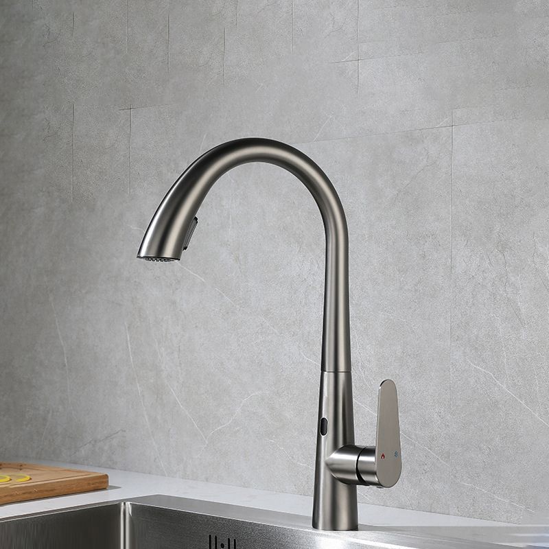 Modern Style Kitchen Faucet Stainless Steel Single Handle Gooseneck Kitchen Faucet Clearhalo 'Home Improvement' 'home_improvement' 'home_improvement_kitchen_faucets' 'Kitchen Faucets' 'Kitchen Remodel & Kitchen Fixtures' 'Kitchen Sinks & Faucet Components' 'kitchen_faucets' 1200x1200_ccead1ba-2e7d-4cbe-9fdb-fd0525dcf797