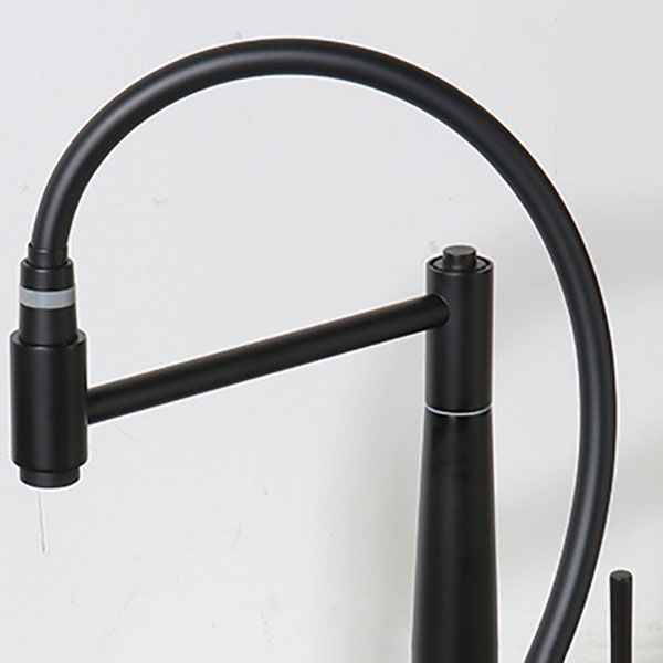 Modern Farmhouse Kitchen Faucet Pull down One Handle High Arch Water Filler Clearhalo 'Home Improvement' 'home_improvement' 'home_improvement_kitchen_faucets' 'Kitchen Faucets' 'Kitchen Remodel & Kitchen Fixtures' 'Kitchen Sinks & Faucet Components' 'kitchen_faucets' 1200x1200_cd9424f2-ea0d-4d87-8088-c1b43284a701