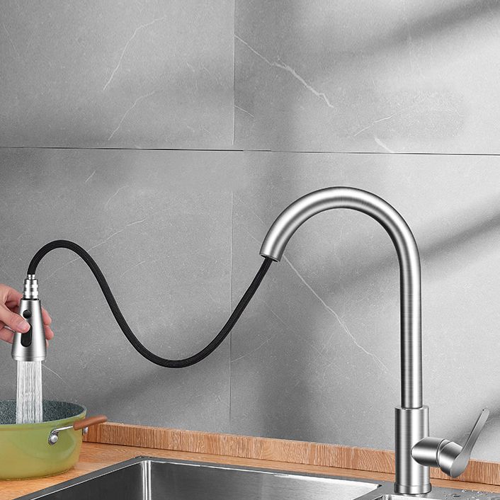 Pull Out Kitchen Faucet Single Handle Faucet with Pull Out Sprayer Clearhalo 'Home Improvement' 'home_improvement' 'home_improvement_kitchen_faucets' 'Kitchen Faucets' 'Kitchen Remodel & Kitchen Fixtures' 'Kitchen Sinks & Faucet Components' 'kitchen_faucets' 1200x1200_cde8d966-d95b-47f1-8195-d877a16d26a2