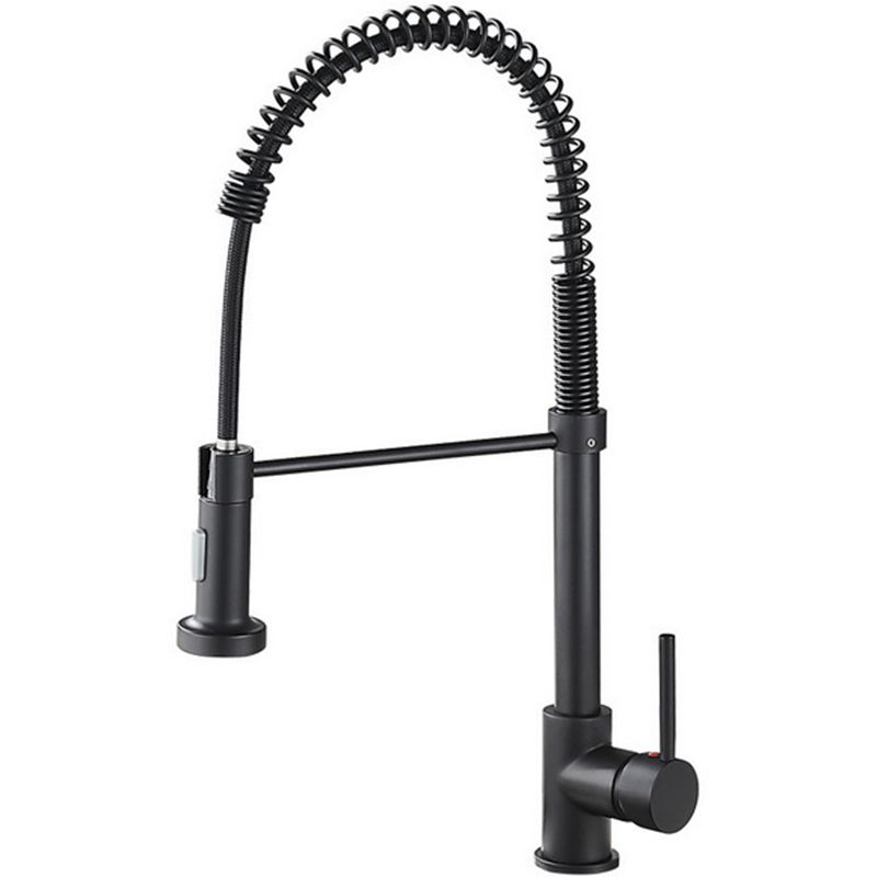 Modern Farmhouse Faucet Spring Spout Water Filler One Handle High Arch Kitchen Faucet Clearhalo 'Home Improvement' 'home_improvement' 'home_improvement_kitchen_faucets' 'Kitchen Faucets' 'Kitchen Remodel & Kitchen Fixtures' 'Kitchen Sinks & Faucet Components' 'kitchen_faucets' 1200x1200_ce0e08d7-68fb-4ea4-802d-3ca8310fc7e4