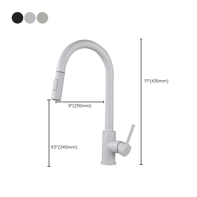 Modern Style Retractable Kitchen Faucet Stainless Steel 1-Handle Kitchen Faucet Clearhalo 'Home Improvement' 'home_improvement' 'home_improvement_kitchen_faucets' 'Kitchen Faucets' 'Kitchen Remodel & Kitchen Fixtures' 'Kitchen Sinks & Faucet Components' 'kitchen_faucets' 1200x1200_cefb1a06-5603-44f6-8142-db853d4c73e2