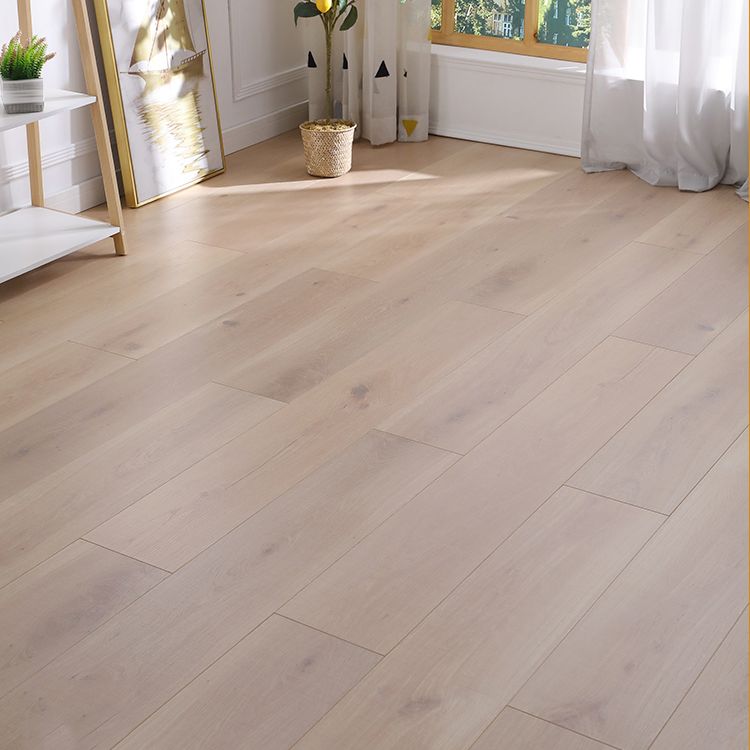 Modern 12mm Natural Solid Wood Laminate Flooring, Click-Lock, Waterproof Clearhalo 'Flooring 'Home Improvement' 'home_improvement' 'home_improvement_laminate_flooring' 'Laminate Flooring' 'laminate_flooring' Walls and Ceiling' 1200x1200_cf653614-7e1f-498c-90ca-40574959cee8