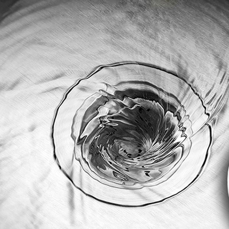 Contemporary Single Bowl Kitchen Sink Round Stainless Steel Sink with Drain Strainer Kit Clearhalo 'Home Improvement' 'home_improvement' 'home_improvement_kitchen_sinks' 'Kitchen Remodel & Kitchen Fixtures' 'Kitchen Sinks & Faucet Components' 'Kitchen Sinks' 'kitchen_sinks' 1200x1200_d01914ad-46de-47e7-a1e1-f7d09786b503