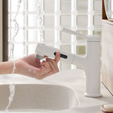 Vessel Sink Bathroom Faucet Lever Handle Low Arc with Pull down Sprayer Clearhalo 'Bathroom Remodel & Bathroom Fixtures' 'Bathroom Sink Faucets' 'Bathroom Sinks & Faucet Components' 'bathroom_sink_faucets' 'Casa' 'Home Improvement' 'home_improvement' 'home_improvement_bathroom_sink_faucets' 1200x1200_d05911bf-3b49-4651-8996-006b67f7f143