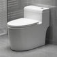 Contemporary Ceramic Floor Mounted Toilet Indoor All-In-One Toilet Bowl Clearhalo 'Bathroom Remodel & Bathroom Fixtures' 'Home Improvement' 'home_improvement' 'home_improvement_toilets' 'Toilets & Bidets' 'Toilets' 1200x1200_d05c5f82-7ce2-4ae4-8dfa-f714b8d02ec7