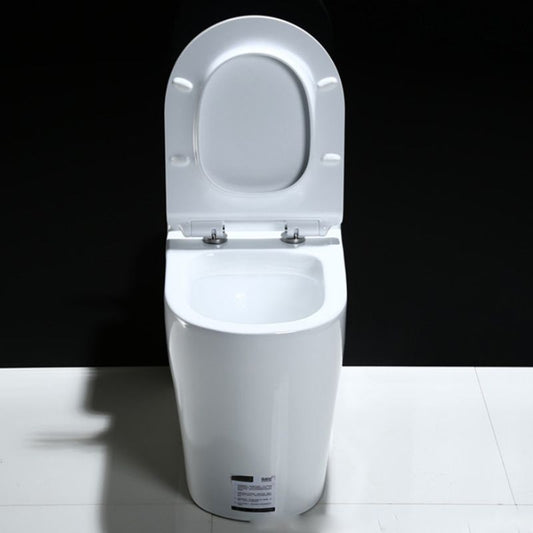 Modern All-In-One Flush Toilet Floor Mount Urine Toilet for Bathroom Clearhalo 'Bathroom Remodel & Bathroom Fixtures' 'Home Improvement' 'home_improvement' 'home_improvement_toilets' 'Toilets & Bidets' 'Toilets' 1200x1200_d06d0642-3fce-4bfb-8a24-24e1eab93171