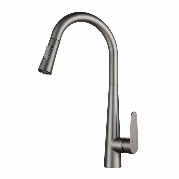Modern Retractable Kitchen Faucet Stainless Steel 1-Handle High Arc Kitchen Faucet Clearhalo 'Home Improvement' 'home_improvement' 'home_improvement_kitchen_faucets' 'Kitchen Faucets' 'Kitchen Remodel & Kitchen Fixtures' 'Kitchen Sinks & Faucet Components' 'kitchen_faucets' 1200x1200_d0b6b33f-e953-46ec-b27d-ca2c6c1326d7