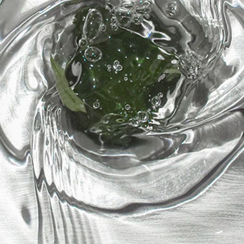 Modern Style Kitchen Sink All-in-one Kitchen Sink with Drain Assembly Clearhalo 'Home Improvement' 'home_improvement' 'home_improvement_kitchen_sinks' 'Kitchen Remodel & Kitchen Fixtures' 'Kitchen Sinks & Faucet Components' 'Kitchen Sinks' 'kitchen_sinks' 1200x1200_d165c424-e244-4a6d-9f29-e5479ac58267