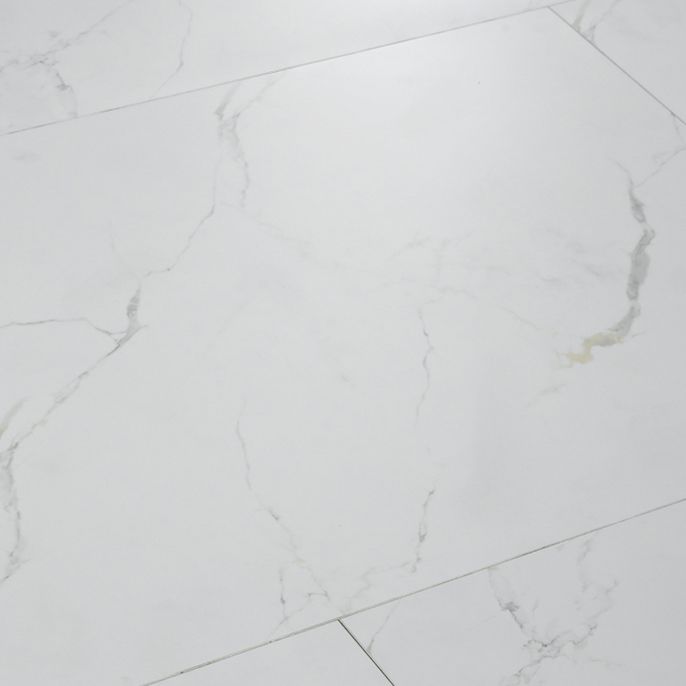 Industry Style Flooring Ceramic Marble Rectangular Indoor Waterproof Flooring Clearhalo 'Flooring 'Home Improvement' 'home_improvement' 'home_improvement_laminate_flooring' 'Laminate Flooring' 'laminate_flooring' Walls and Ceiling' 1200x1200_d26a25f7-1e61-4744-bb0b-e87f98978fa6