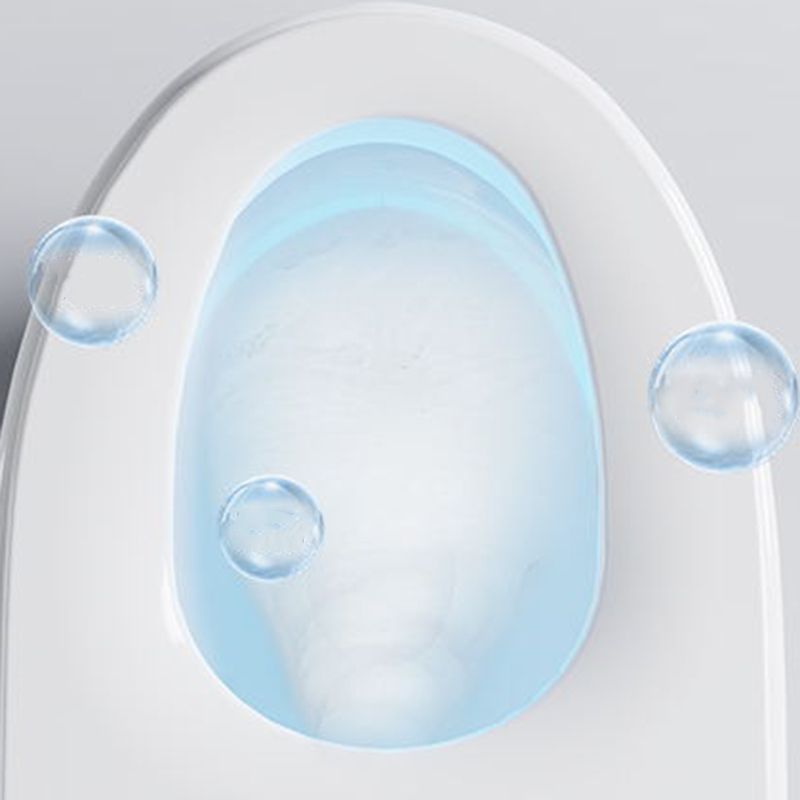 Elongated Vitreous China Bidet All-In-One Smart Toilet Seat Bidet Clearhalo 'Bathroom Remodel & Bathroom Fixtures' 'Bidets' 'Home Improvement' 'home_improvement' 'home_improvement_bidets' 'Toilets & Bidets' 1200x1200_d3d7dcf9-1813-4c7c-a70e-917df12dbb65