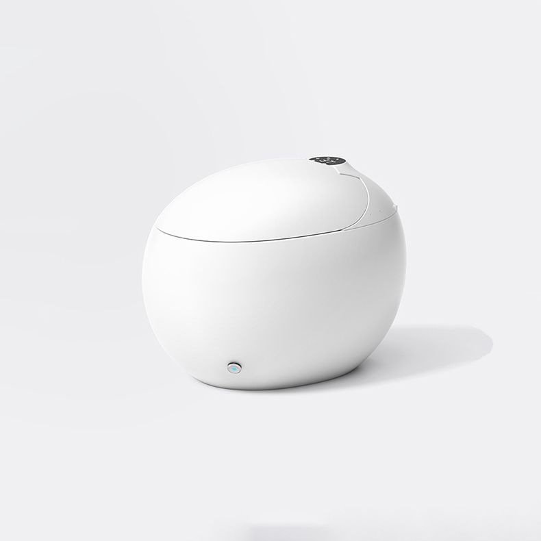 Contemporary 1-Piece Bidet Toilet Floor Mounted Round Toilet Bowl for Washroom Clearhalo 'Bathroom Remodel & Bathroom Fixtures' 'Home Improvement' 'home_improvement' 'home_improvement_toilets' 'Toilets & Bidets' 'Toilets' 1200x1200_d3fb7138-4243-4352-bd36-b59b394a58d7