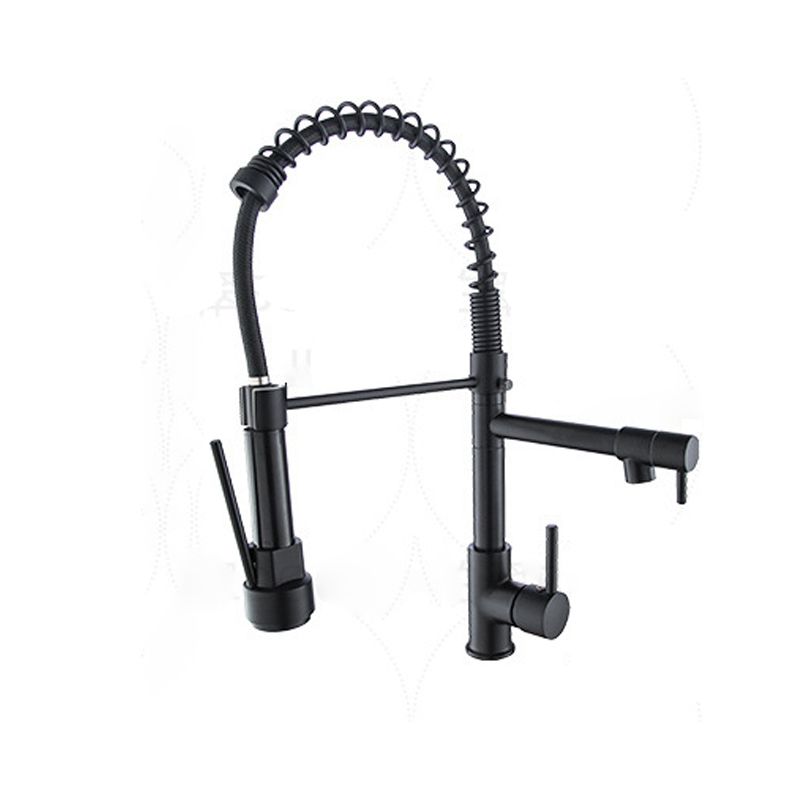 Modern Farmhouse Faucet Spout Double Levers Kitchen Faucet High Arch Filler with Sprayer Clearhalo 'Home Improvement' 'home_improvement' 'home_improvement_kitchen_faucets' 'Kitchen Faucets' 'Kitchen Remodel & Kitchen Fixtures' 'Kitchen Sinks & Faucet Components' 'kitchen_faucets' 1200x1200_d4695f63-2a85-40c6-9970-ed1b416b30db