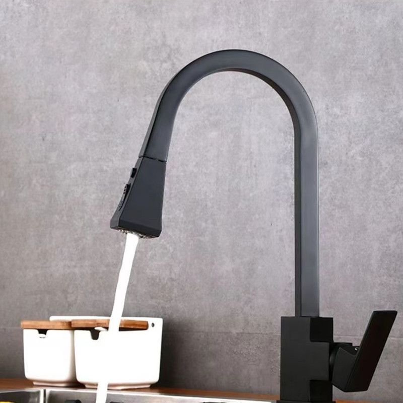 Traditional 1-Handle Faucet Copper with Pull out Sprayer with Water Dispenser Faucet Clearhalo 'Home Improvement' 'home_improvement' 'home_improvement_kitchen_faucets' 'Kitchen Faucets' 'Kitchen Remodel & Kitchen Fixtures' 'Kitchen Sinks & Faucet Components' 'kitchen_faucets' 1200x1200_d47d2722-de2a-4e00-84be-43531aa908e1