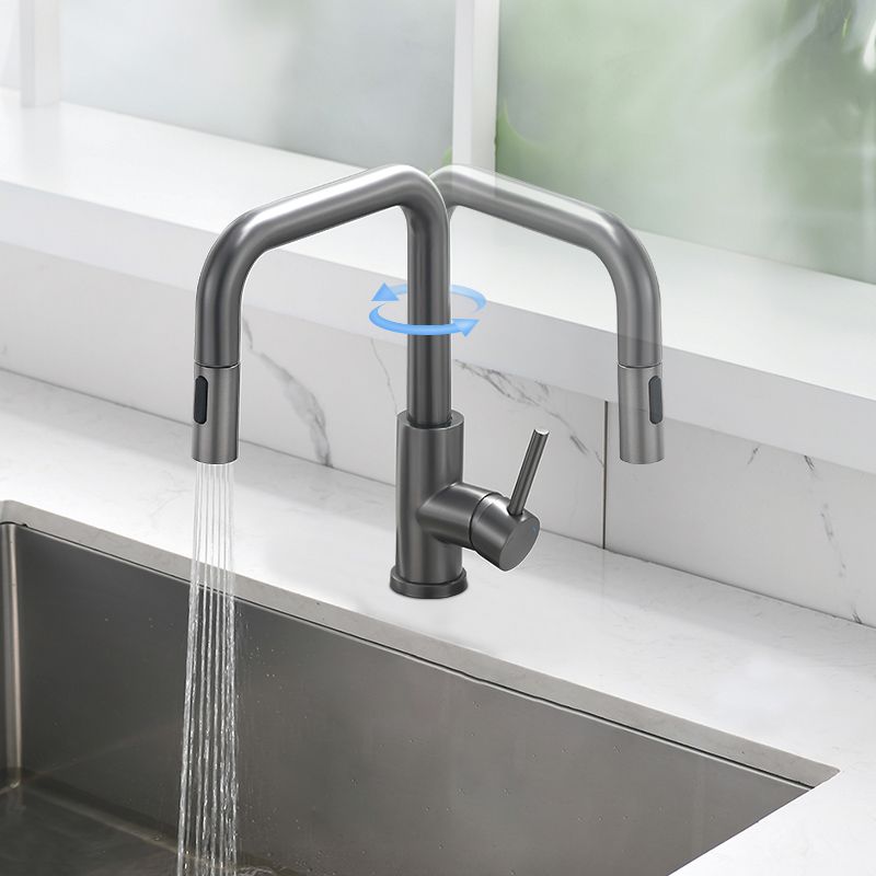 Modern Pull Out Single Rotary Switch Kitchen Faucet High Profile Faucet Clearhalo 'Home Improvement' 'home_improvement' 'home_improvement_kitchen_faucets' 'Kitchen Faucets' 'Kitchen Remodel & Kitchen Fixtures' 'Kitchen Sinks & Faucet Components' 'kitchen_faucets' 1200x1200_d5c1b42b-6e82-4440-a2e7-20e5244e4b52