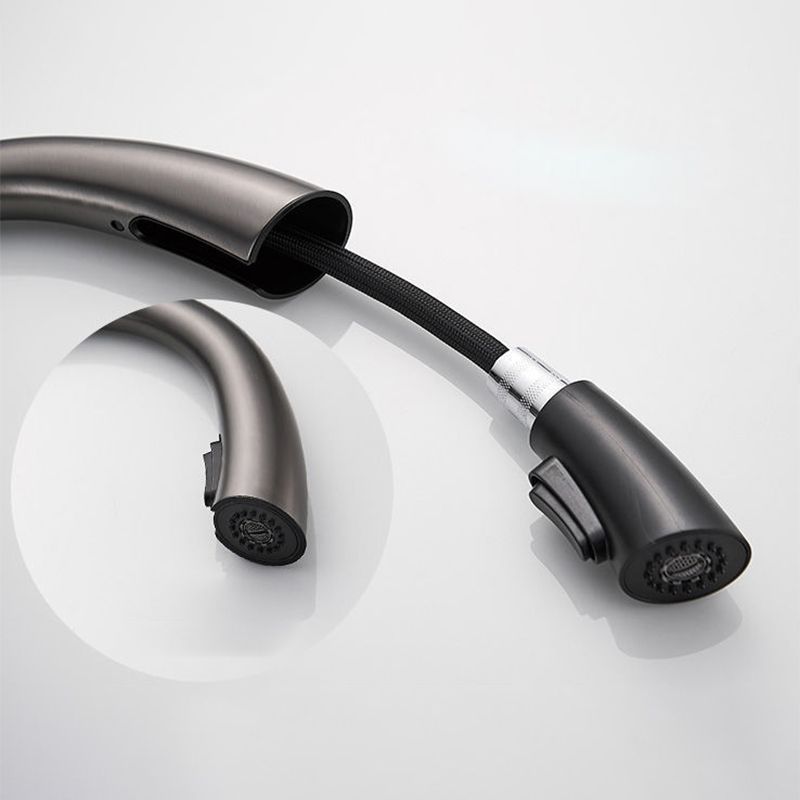 Modern 1-Handle Faucet Pull down Stainless Steel Standard Kitchen Faucet Clearhalo 'Home Improvement' 'home_improvement' 'home_improvement_kitchen_faucets' 'Kitchen Faucets' 'Kitchen Remodel & Kitchen Fixtures' 'Kitchen Sinks & Faucet Components' 'kitchen_faucets' 1200x1200_d6361ade-9791-4ac3-9f5c-a16d5e8be38b