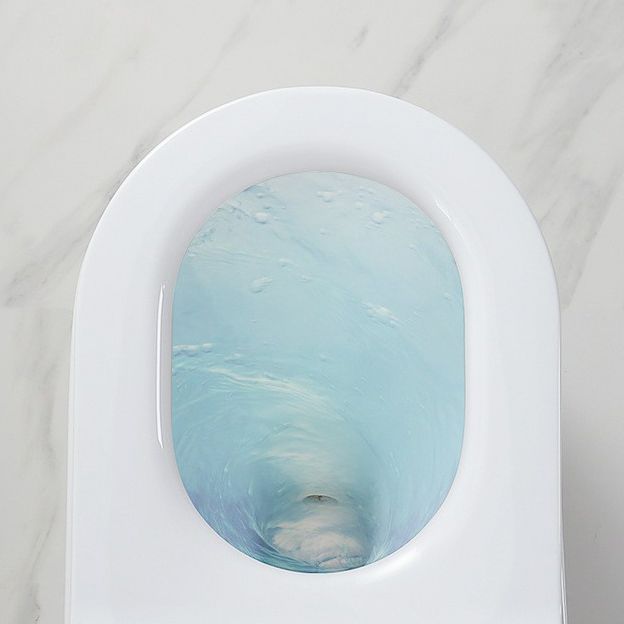 Traditional 1 Piece Flush Toilet Floor Mounted Urine Toilet for Bathroom Clearhalo 'Bathroom Remodel & Bathroom Fixtures' 'Home Improvement' 'home_improvement' 'home_improvement_toilets' 'Toilets & Bidets' 'Toilets' 1200x1200_d69fbae9-6c94-43c5-a2d1-2e54fc708c87