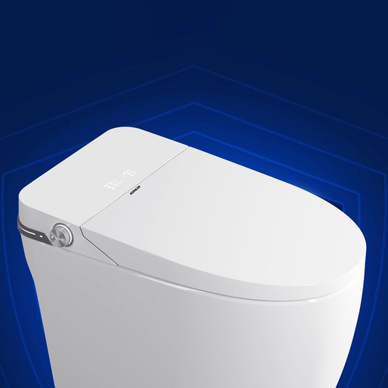 Elongated Floor Standing Bidet in White Smart Bidet with Heated Seat Clearhalo 'Bathroom Remodel & Bathroom Fixtures' 'Bidets' 'Home Improvement' 'home_improvement' 'home_improvement_bidets' 'Toilets & Bidets' 1200x1200_d704c467-8149-46e4-8dac-8921cfda6a3d