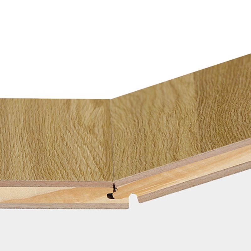 Traditional Flooring Planks Solid Wood Click-Locking Parquet Wooden Floor Clearhalo 'Flooring 'Hardwood Flooring' 'hardwood_flooring' 'Home Improvement' 'home_improvement' 'home_improvement_hardwood_flooring' Walls and Ceiling' 1200x1200_d70b5f84-edfe-4269-9ba8-3d413bcf2b1c