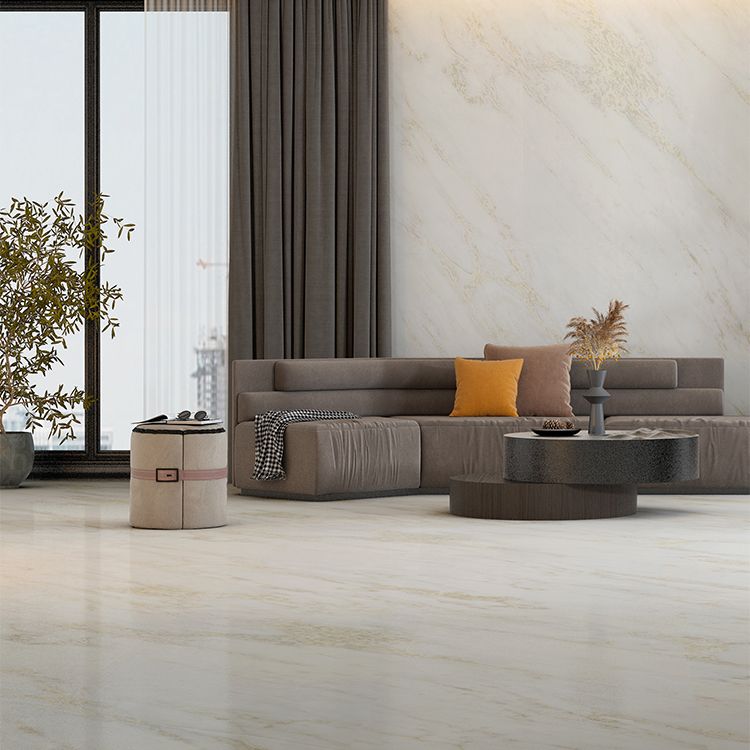 Popular Wall & Floor Tile Marble Patterned Porcelain Textured Tile Clearhalo 'Floor Tiles & Wall Tiles' 'floor_tiles_wall_tiles' 'Flooring 'Home Improvement' 'home_improvement' 'home_improvement_floor_tiles_wall_tiles' Walls and Ceiling' 1200x1200_d7138a9b-cafe-41cb-b209-b3dd11153f6c
