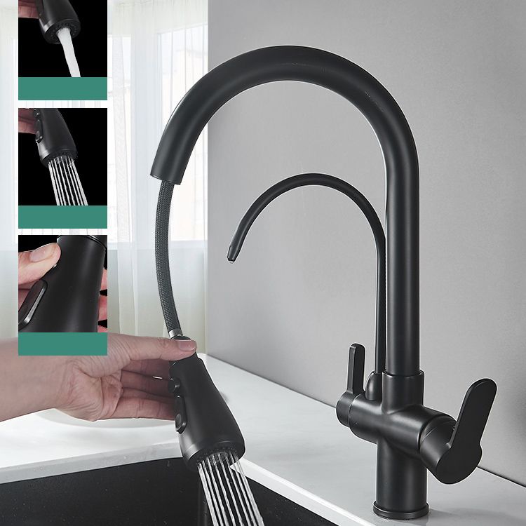 Contemporary Two Handles Kitchen Faucet Double Faucet 1-Hold Faucet Clearhalo 'Home Improvement' 'home_improvement' 'home_improvement_kitchen_faucets' 'Kitchen Faucets' 'Kitchen Remodel & Kitchen Fixtures' 'Kitchen Sinks & Faucet Components' 'kitchen_faucets' 1200x1200_d7331e33-f036-447f-aa83-6148e0d4364a