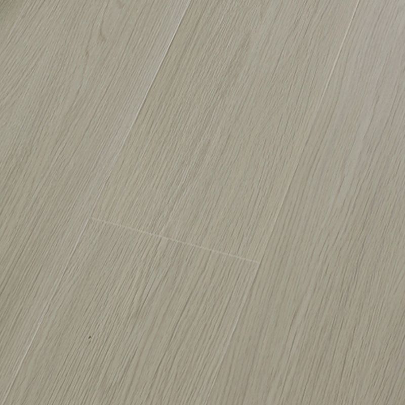 Modern Wooden Laminate Floor Click-Lock Laminate Plank Flooring Clearhalo 'Flooring 'Home Improvement' 'home_improvement' 'home_improvement_laminate_flooring' 'Laminate Flooring' 'laminate_flooring' Walls and Ceiling' 1200x1200_d7859c03-0b0d-4f1e-800c-d40b3444a78a
